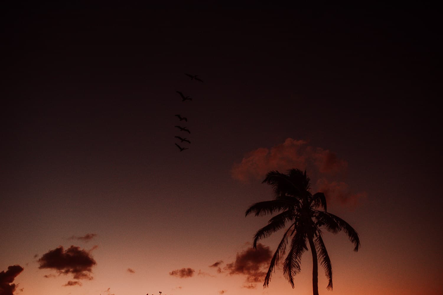 Fotografía de save the date en Cancun por Jesús Amaya fotógrafo de bodas destino en México